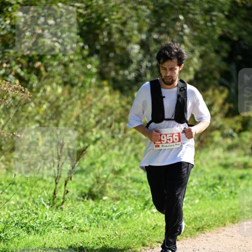 27.09.2026 - 35. Volkslauf durch das schöne Alstertal Dr. Thomas Lammeyer http://msf.ph/oto/10580131 27.09.2026 12:13:09 Laufen 956 meine-sportfotos.de