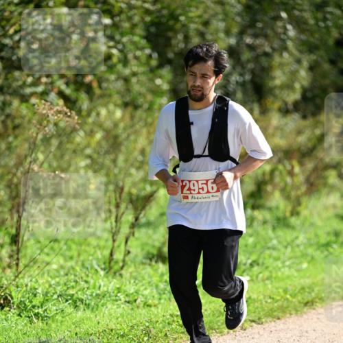 27.09.2026 - 35. Volkslauf durch das schöne Alstertal Dr. Thomas Lammeyer http://msf.ph/oto/10580135 27.09.2026 12:13:10 Laufen 2956 meine-sportfotos.de