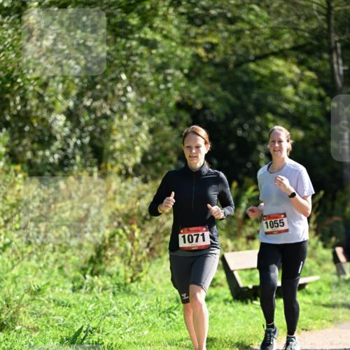 27.09.2026 - 35. Volkslauf durch das schöne Alstertal Dr. Thomas Lammeyer http://msf.ph/oto/10580144 27.09.2026 12:13:16 Laufen 1071, 1055 meine-sportfotos.de