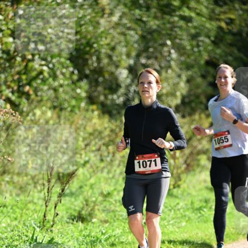 27.09.2026 - 35. Volkslauf durch das schöne Alstertal Dr. Thomas Lammeyer http://msf.ph/oto/10580154 27.09.2026 12:13:17 Laufen 1071, 1055 meine-sportfotos.de