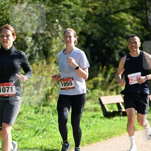 27.09.2026 - 35. Volkslauf durch das schöne Alstertal Dr. Thomas Lammeyer http://msf.ph/oto/10580155 27.09.2026 12:13:18 Laufen 1071, 1055, 2969 meine-sportfotos.de