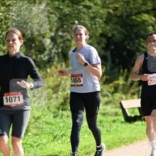 27.09.2026 - 35. Volkslauf durch das schöne Alstertal Dr. Thomas Lammeyer http://msf.ph/oto/10580157 27.09.2026 12:13:18 Laufen 1071, 1055, 296 meine-sportfotos.de