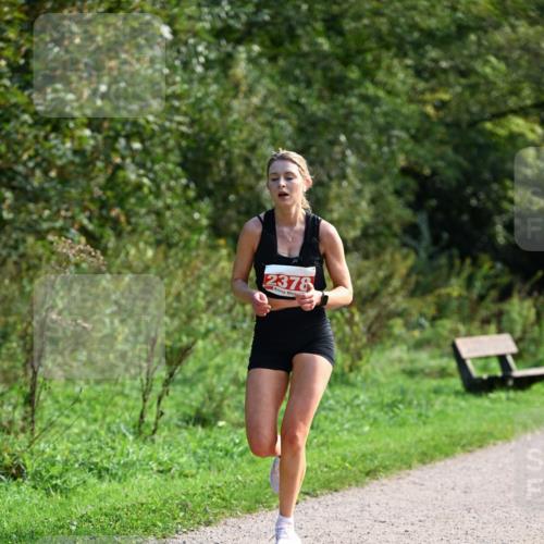 27.09.2026 - 35. Volkslauf durch das schöne Alstertal Dr. Thomas Lammeyer http://msf.ph/oto/10580206 27.09.2026 12:13:29 Laufen 2378 meine-sportfotos.de