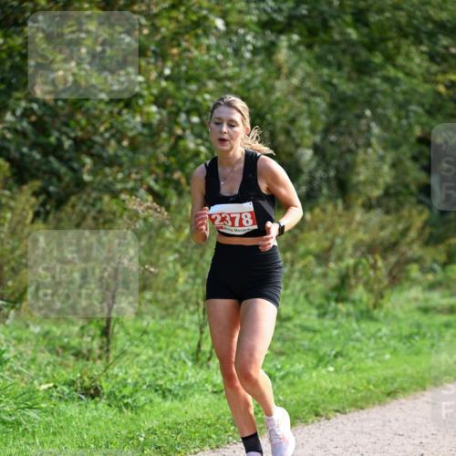27.09.2026 - 35. Volkslauf durch das schöne Alstertal Dr. Thomas Lammeyer http://msf.ph/oto/10580209 27.09.2026 12:13:29 Laufen 2378 meine-sportfotos.de
