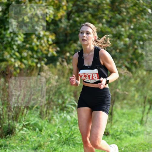27.09.2026 - 35. Volkslauf durch das schöne Alstertal Dr. Thomas Lammeyer http://msf.ph/oto/10580216 27.09.2026 12:13:30 Laufen 2378 meine-sportfotos.de