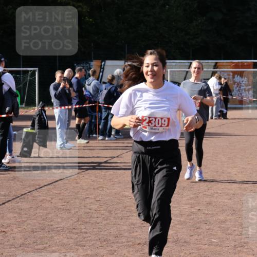 27.09.2026 - 35. Volkslauf durch das schöne Alstertal Strokosch-Dieckow http://msf.ph/oto/10580235 27.09.2026 12:54:18 Ziel 2069, 2309, 2316 meine-sportfotos.de
