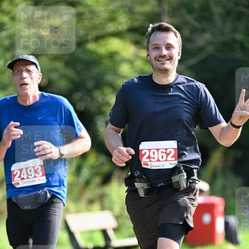 27.09.2026 - 35. Volkslauf durch das schöne Alstertal Dr. Thomas Lammeyer http://msf.ph/oto/10580265 27.09.2026 12:14:03 Laufen 2493, 2962 meine-sportfotos.de