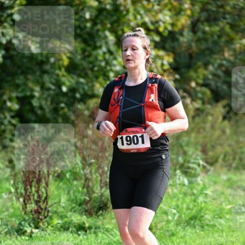 27.09.2026 - 35. Volkslauf durch das schöne Alstertal Dr. Thomas Lammeyer http://msf.ph/oto/10580330 27.09.2026 12:14:51 Laufen 1901 meine-sportfotos.de