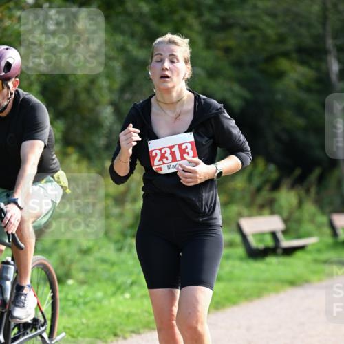 27.09.2026 - 35. Volkslauf durch das schöne Alstertal Dr. Thomas Lammeyer http://msf.ph/oto/10580353 27.09.2026 12:14:58 Laufen 2313 meine-sportfotos.de