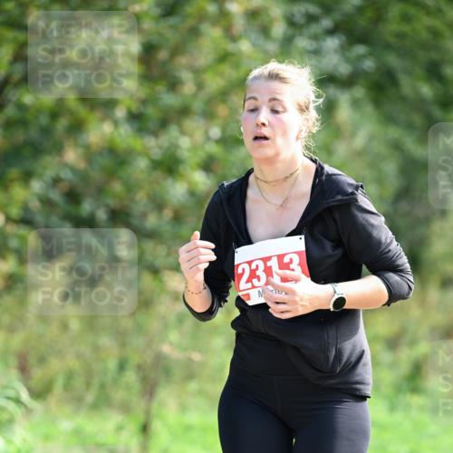 27.09.2026 - 35. Volkslauf durch das schöne Alstertal Dr. Thomas Lammeyer http://msf.ph/oto/10580359 27.09.2026 12:14:59 Laufen 2313 meine-sportfotos.de