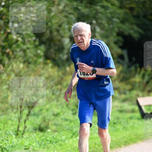 27.09.2026 - 35. Volkslauf durch das schöne Alstertal Dr. Thomas Lammeyer http://msf.ph/oto/10580398 27.09.2026 12:15:17 Laufen 1020 meine-sportfotos.de