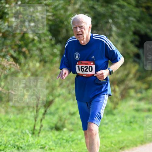 27.09.2026 - 35. Volkslauf durch das schöne Alstertal Dr. Thomas Lammeyer http://msf.ph/oto/10580400 27.09.2026 12:15:17 Laufen 1620 meine-sportfotos.de