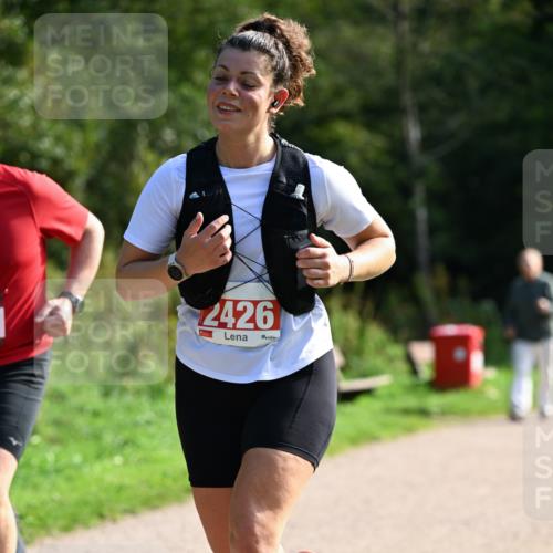 27.09.2026 - 35. Volkslauf durch das schöne Alstertal Dr. Thomas Lammeyer http://msf.ph/oto/10580433 27.09.2026 12:15:36 Laufen 2426 meine-sportfotos.de