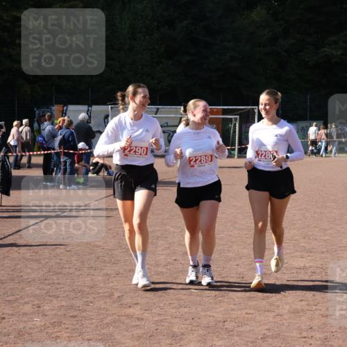 27.09.2026 - 35. Volkslauf durch das schöne Alstertal Strokosch-Dieckow http://msf.ph/oto/10580490 27.09.2026 12:56:23 Ziel 2288, 2289, 2290 meine-sportfotos.de