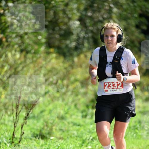 27.09.2026 - 35. Volkslauf durch das schöne Alstertal Dr. Thomas Lammeyer http://msf.ph/oto/10580603 27.09.2026 12:16:56 Laufen 2332 meine-sportfotos.de