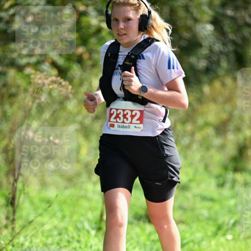 27.09.2026 - 35. Volkslauf durch das schöne Alstertal Dr. Thomas Lammeyer http://msf.ph/oto/10580611 27.09.2026 12:16:57 Laufen 2332 meine-sportfotos.de