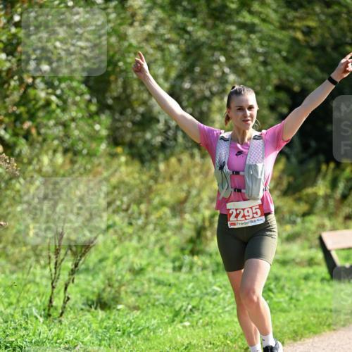 27.09.2026 - 35. Volkslauf durch das schöne Alstertal Dr. Thomas Lammeyer http://msf.ph/oto/10580614 27.09.2026 12:17:07 Laufen 2295 meine-sportfotos.de