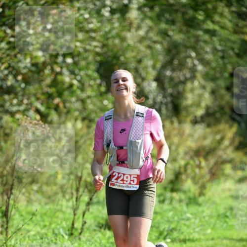 27.09.2026 - 35. Volkslauf durch das schöne Alstertal Dr. Thomas Lammeyer http://msf.ph/oto/10580621 27.09.2026 12:17:07 Laufen 2295 meine-sportfotos.de