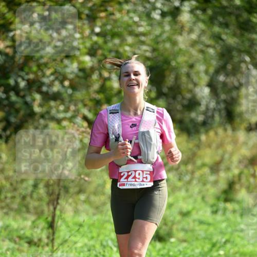 27.09.2026 - 35. Volkslauf durch das schöne Alstertal Dr. Thomas Lammeyer http://msf.ph/oto/10580623 27.09.2026 12:17:07 Laufen 2295 meine-sportfotos.de