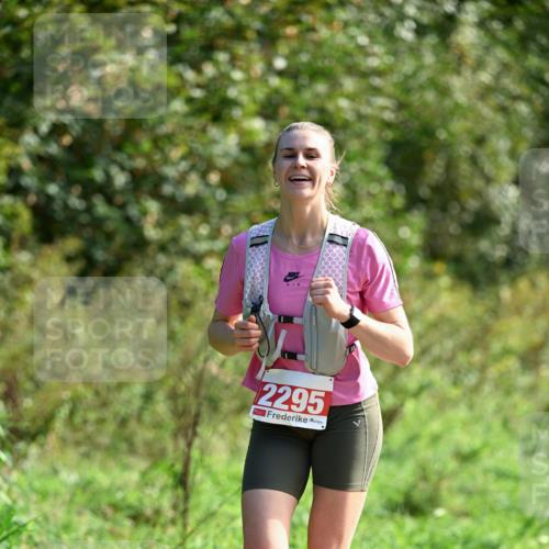27.09.2026 - 35. Volkslauf durch das schöne Alstertal Dr. Thomas Lammeyer http://msf.ph/oto/10580624 27.09.2026 12:17:08 Laufen 2295 meine-sportfotos.de