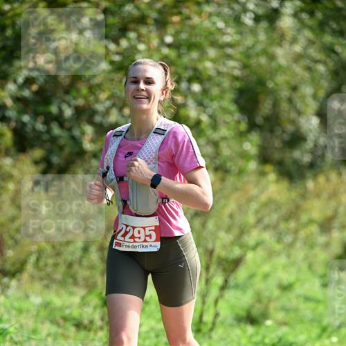 27.09.2026 - 35. Volkslauf durch das schöne Alstertal Dr. Thomas Lammeyer http://msf.ph/oto/10580626 27.09.2026 12:17:08 Laufen 2295 meine-sportfotos.de