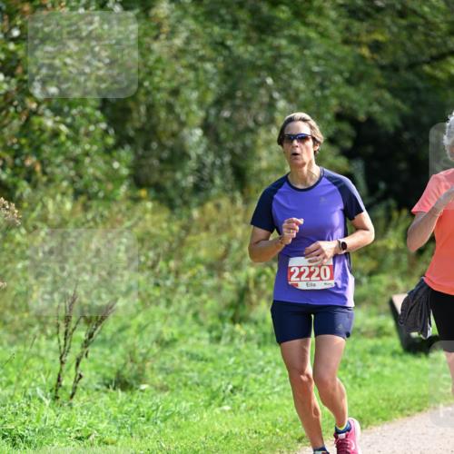 27.09.2026 - 35. Volkslauf durch das schöne Alstertal Dr. Thomas Lammeyer http://msf.ph/oto/10580659 27.09.2026 12:17:35 Laufen 2220 meine-sportfotos.de