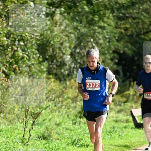 27.09.2026 - 35. Volkslauf durch das schöne Alstertal Dr. Thomas Lammeyer http://msf.ph/oto/10580702 27.09.2026 12:18:02 Laufen 2372, 1668 meine-sportfotos.de