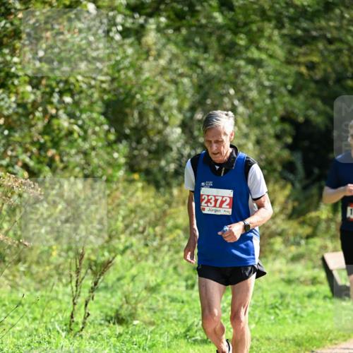 27.09.2026 - 35. Volkslauf durch das schöne Alstertal Dr. Thomas Lammeyer http://msf.ph/oto/10580703 27.09.2026 12:18:02 Laufen 2372 meine-sportfotos.de