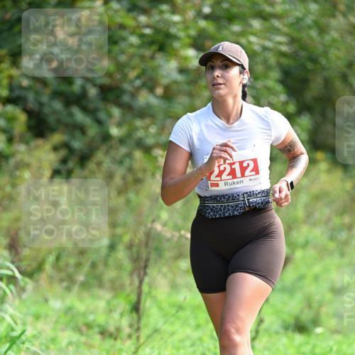 27.09.2026 - 35. Volkslauf durch das schöne Alstertal Dr. Thomas Lammeyer http://msf.ph/oto/10580756 27.09.2026 12:18:28 Laufen 212 meine-sportfotos.de