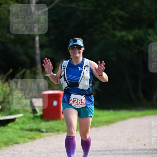 27.09.2026 - 35. Volkslauf durch das schöne Alstertal Dr. Thomas Lammeyer http://msf.ph/oto/10580765 27.09.2026 12:18:40 Laufen 2265 meine-sportfotos.de