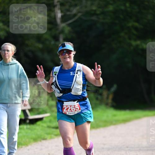 27.09.2026 - 35. Volkslauf durch das schöne Alstertal Dr. Thomas Lammeyer http://msf.ph/oto/10580773 27.09.2026 12:18:41 Laufen 2265 meine-sportfotos.de