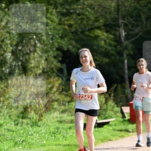27.09.2026 - 35. Volkslauf durch das schöne Alstertal Dr. Thomas Lammeyer http://msf.ph/oto/10580791 27.09.2026 12:19:27 Laufen 2342, 2492 meine-sportfotos.de