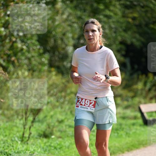 27.09.2026 - 35. Volkslauf durch das schöne Alstertal Dr. Thomas Lammeyer http://msf.ph/oto/10580815 27.09.2026 12:19:30 Laufen 2492 meine-sportfotos.de