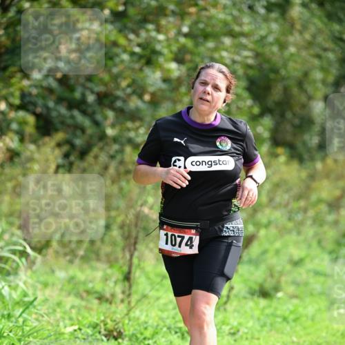 27.09.2026 - 35. Volkslauf durch das schöne Alstertal Dr. Thomas Lammeyer http://msf.ph/oto/10580880 27.09.2026 12:20:42 Laufen 1074 meine-sportfotos.de