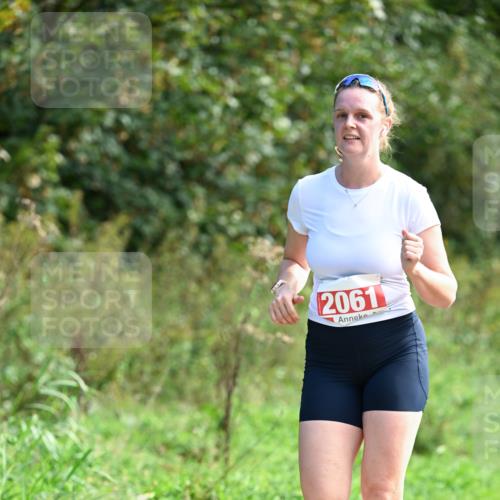 27.09.2026 - 35. Volkslauf durch das schöne Alstertal Dr. Thomas Lammeyer http://msf.ph/oto/10580970 27.09.2026 12:21:43 Laufen 2061 meine-sportfotos.de