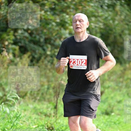 27.09.2026 - 35. Volkslauf durch das schöne Alstertal Dr. Thomas Lammeyer http://msf.ph/oto/10580980 27.09.2026 12:21:47 Laufen 2302 meine-sportfotos.de