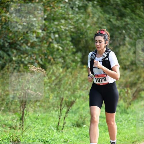 27.09.2026 - 35. Volkslauf durch das schöne Alstertal Dr. Thomas Lammeyer http://msf.ph/oto/10580990 27.09.2026 12:21:57 Laufen 1078 meine-sportfotos.de
