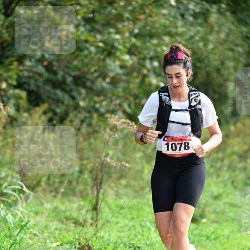 27.09.2026 - 35. Volkslauf durch das schöne Alstertal Dr. Thomas Lammeyer http://msf.ph/oto/10580995 27.09.2026 12:21:57 Laufen 1078 meine-sportfotos.de