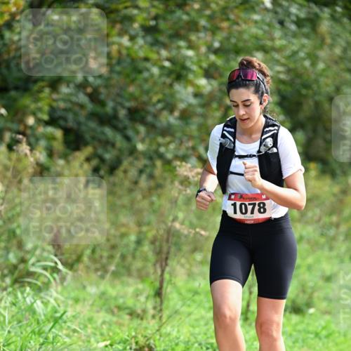 27.09.2026 - 35. Volkslauf durch das schöne Alstertal Dr. Thomas Lammeyer http://msf.ph/oto/10580997 27.09.2026 12:21:58 Laufen 1078 meine-sportfotos.de