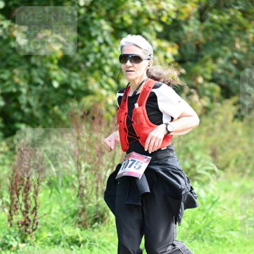 27.09.2026 - 35. Volkslauf durch das schöne Alstertal Dr. Thomas Lammeyer http://msf.ph/oto/10581036 27.09.2026 12:22:14 Laufen 75 meine-sportfotos.de