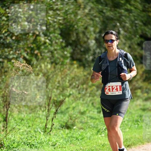 27.09.2026 - 35. Volkslauf durch das schöne Alstertal Dr. Thomas Lammeyer http://msf.ph/oto/10581051 27.09.2026 12:22:43 Laufen 2121 meine-sportfotos.de