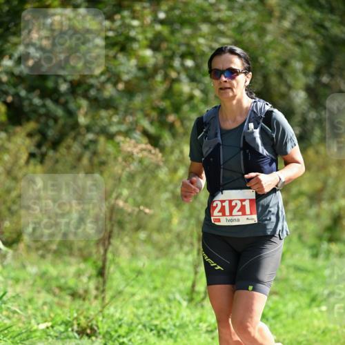 27.09.2026 - 35. Volkslauf durch das schöne Alstertal Dr. Thomas Lammeyer http://msf.ph/oto/10581057 27.09.2026 12:22:44 Laufen 2121 meine-sportfotos.de