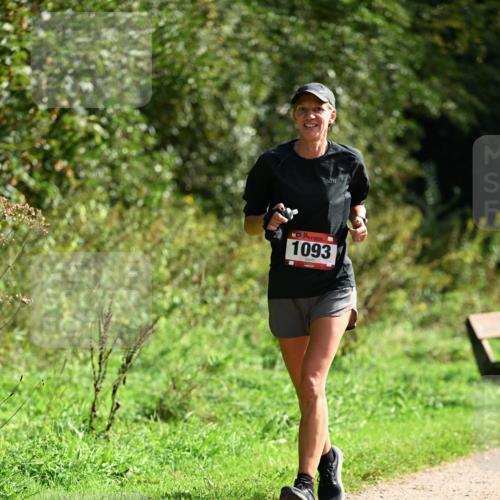 27.09.2026 - 35. Volkslauf durch das schöne Alstertal Dr. Thomas Lammeyer http://msf.ph/oto/10581058 27.09.2026 12:22:50 Laufen 1093 meine-sportfotos.de
