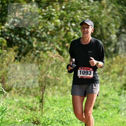 27.09.2026 - 35. Volkslauf durch das schöne Alstertal Dr. Thomas Lammeyer http://msf.ph/oto/10581067 27.09.2026 12:22:51 Laufen 1093 meine-sportfotos.de
