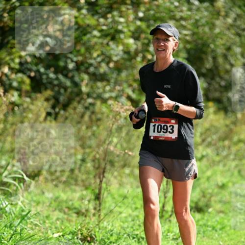 27.09.2026 - 35. Volkslauf durch das schöne Alstertal Dr. Thomas Lammeyer http://msf.ph/oto/10581068 27.09.2026 12:22:51 Laufen 1093 meine-sportfotos.de