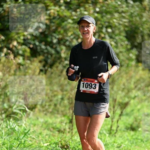 27.09.2026 - 35. Volkslauf durch das schöne Alstertal Dr. Thomas Lammeyer http://msf.ph/oto/10581071 27.09.2026 12:22:52 Laufen 1093 meine-sportfotos.de