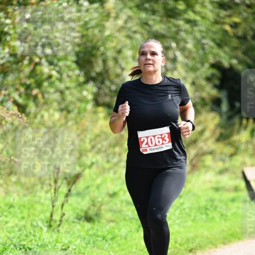 27.09.2026 - 35. Volkslauf durch das schöne Alstertal Dr. Thomas Lammeyer http://msf.ph/oto/10581086 27.09.2026 12:22:56 Laufen 2063 meine-sportfotos.de