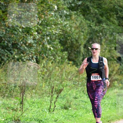 27.09.2026 - 35. Volkslauf durch das schöne Alstertal Dr. Thomas Lammeyer http://msf.ph/oto/10581107 27.09.2026 12:23:20 Laufen 1081 meine-sportfotos.de