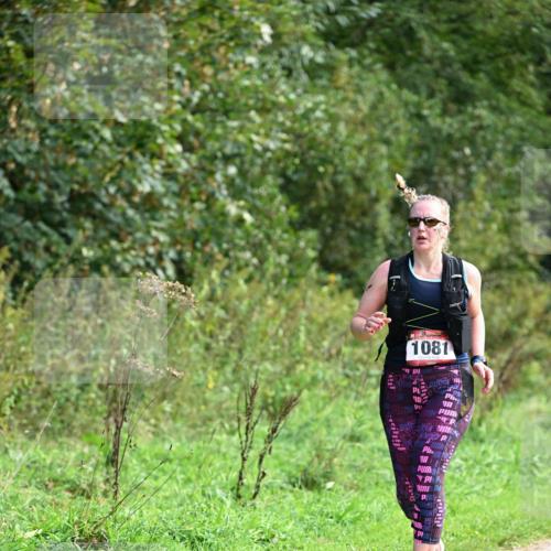 27.09.2026 - 35. Volkslauf durch das schöne Alstertal Dr. Thomas Lammeyer http://msf.ph/oto/10581109 27.09.2026 12:23:20 Laufen 1081 meine-sportfotos.de
