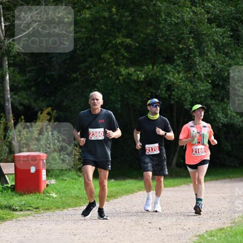 27.09.2026 - 35. Volkslauf durch das schöne Alstertal Dr. Thomas Lammeyer http://msf.ph/oto/10581133 27.09.2026 12:23:45 Laufen 2360, 2170, 2169 meine-sportfotos.de